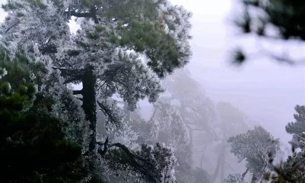 有大哥知道，男性在备孕中是如何生精快的？游戏画面