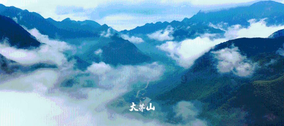 全民剧本大师内置菜单