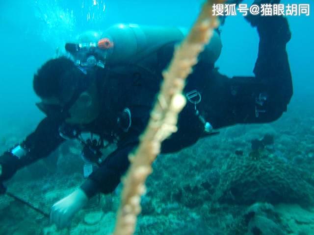 发现子宫内膜息肉需要手术吗？