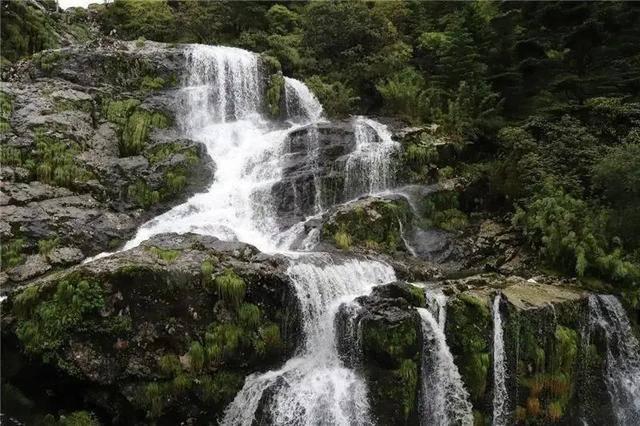 沪江开心词场
