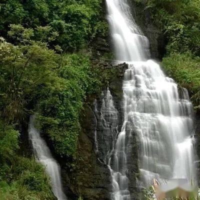 考试科目一多少分算合格游戏画面