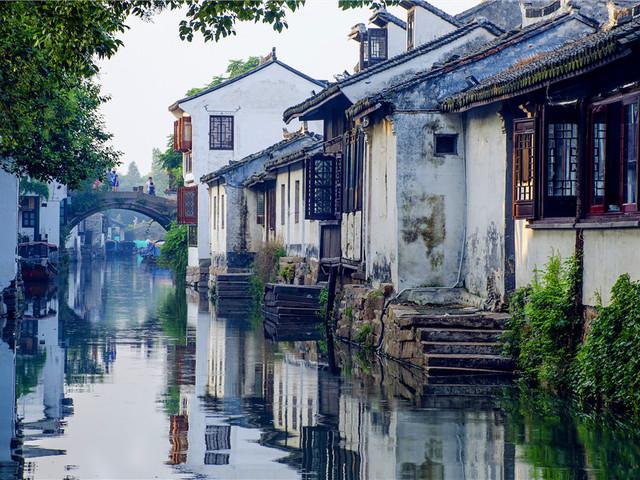 奥日与黑暗森林
