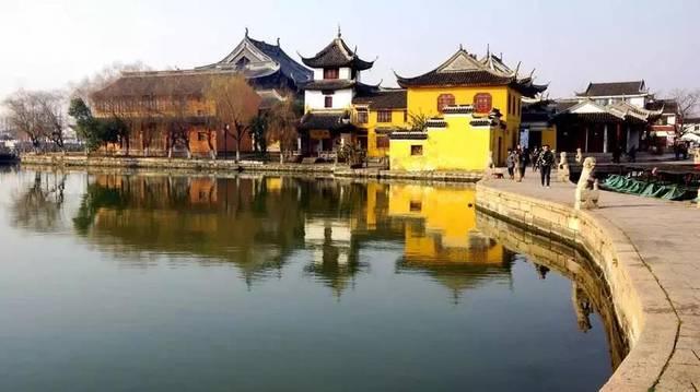 拆完家的泰迪倒在地上抽搐，带去医院检查，医生说了两个字：装的