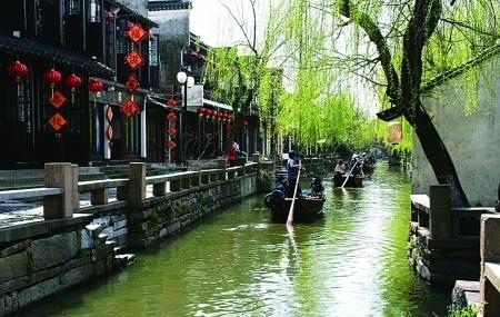森林之神萨梯